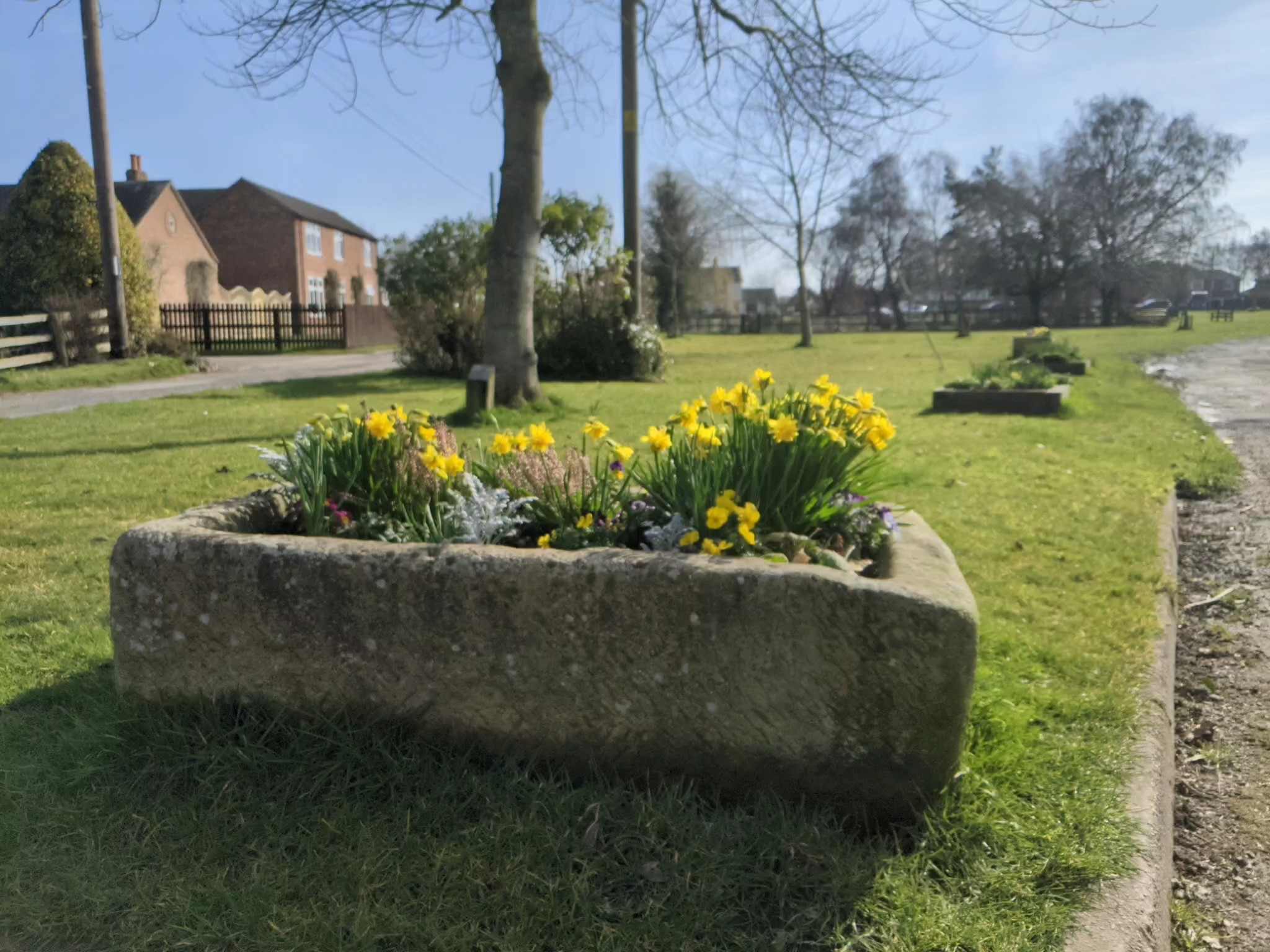 Flower trough by Hall Lane